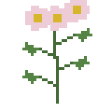 ハルジオンのドット絵