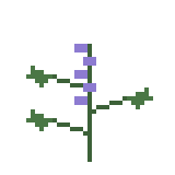 マツバウンランのドット絵
